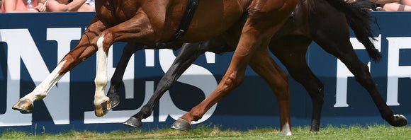 Close-up photo of racehorse legs during a race.
