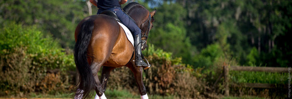 Dressage horse schooling a half-pass in an outdoor arena