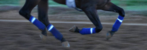Close up of a galloping horses legs during training