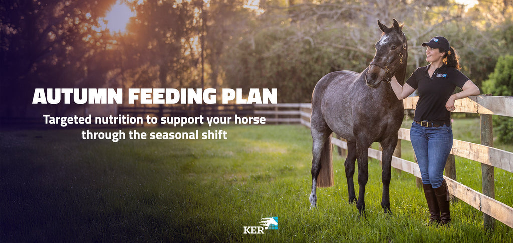Autumn Horse Supplements