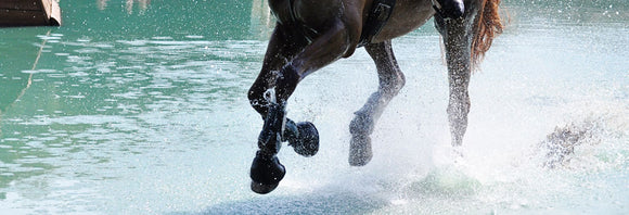 Close-up of a horse's legs galloping through a water obstacle on cross-country.