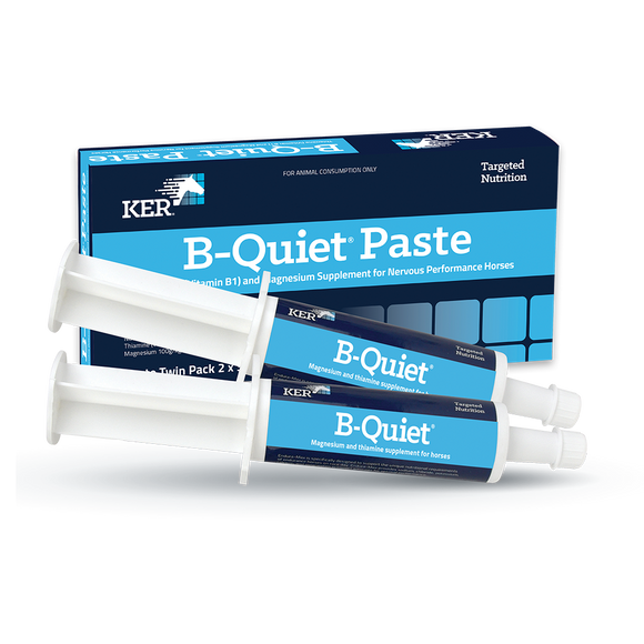 B-Quiet® Paste - Twin Pack